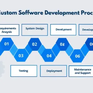 Custom Software (Lite)