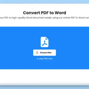 PDF to Word Conversion